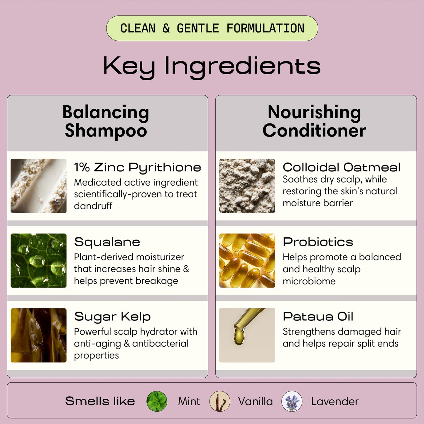Jupiter Shampoo & Conditioner Sets